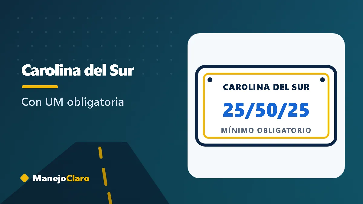 Placa ilustrada de Carolina del Sur con el mínimo de aseguranza 25/50/25 Placa ilustrada de Carolina del Sur con el mínimo de aseguranza 25/50/25
