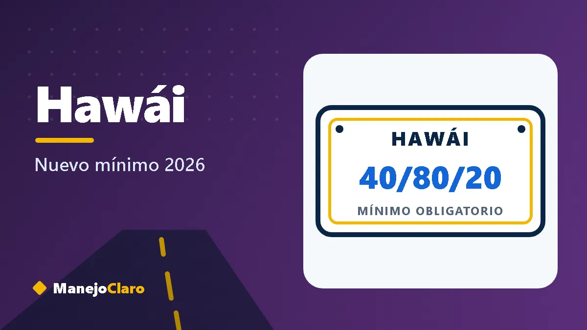 Placa ilustrada de Hawái con el mínimo de aseguranza 40/80/20 Placa ilustrada de Hawái con el mínimo de aseguranza 40/80/20